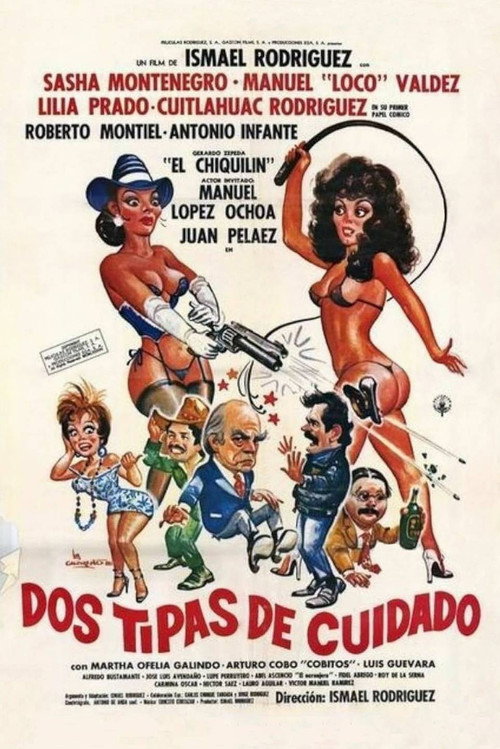 Movie poster for Two Kinds of Schemes (1989)