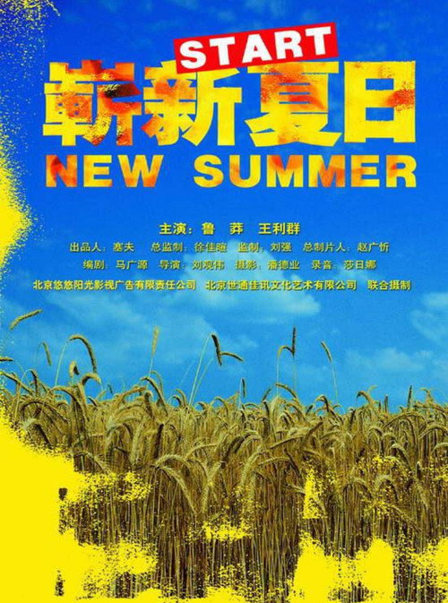 Movie poster for New Summer (2004)