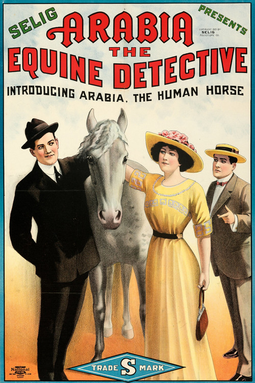 Movie poster for Arabia: The Equine Detective (1913)