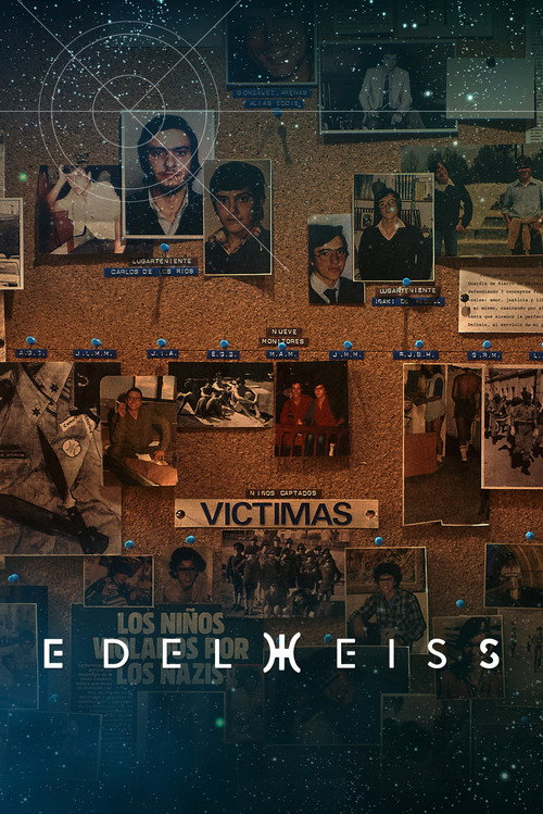 Series poster for Edelweiss (2021)