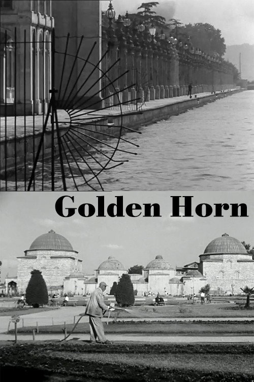 Movie poster for Golden Horn (1964)
