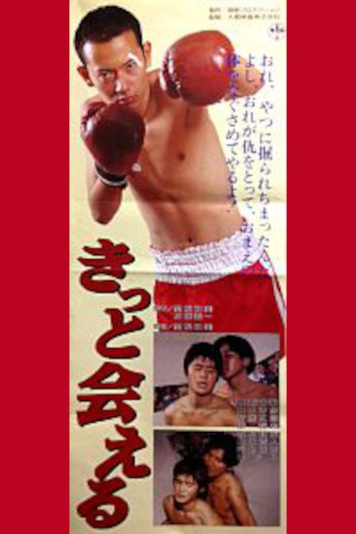Movie poster for Kitto aeru (1996)