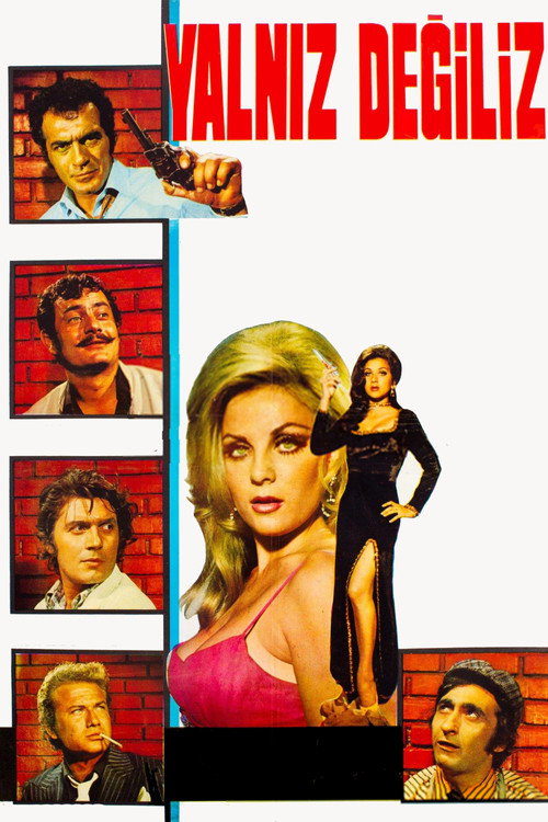 Movie poster for Yalnız Değiliz (1971)