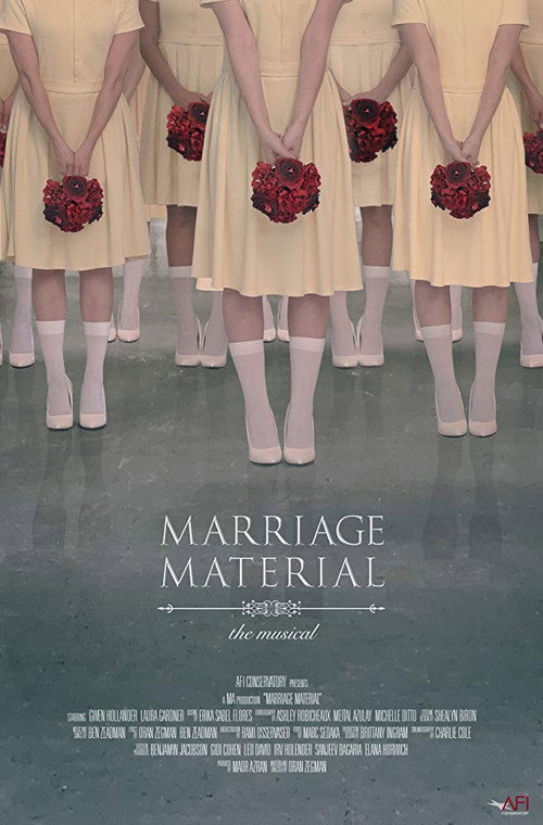 Movie poster for Marriage Material (2018)