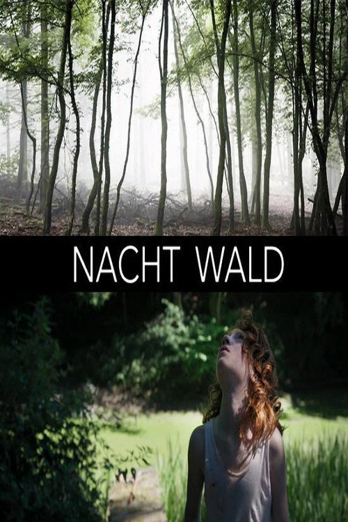 Movie poster for Nacht Wald (2019)