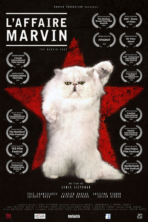 Movie poster for L'Affaire Marvin (2020)