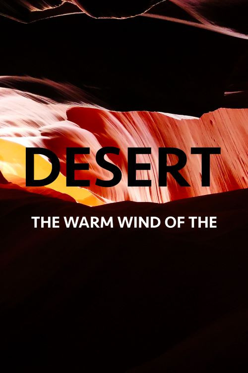 Movie poster for The Warm Wind Of The Desert (2020)