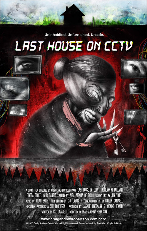 Movie poster for Last House on CCTV (2021)