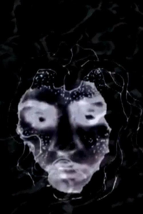 Movie poster for The Linear of Nightmare (2012)