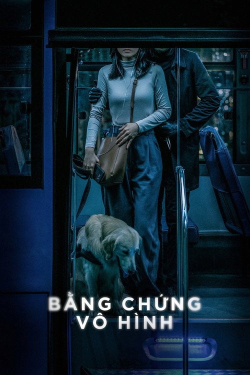 Movie poster for Invisible Evidence (2020)