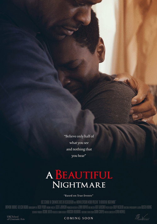 Movie poster for A Beautiful Nightmare (2019)