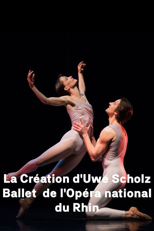 Movie poster for The Creation by Uwe Scholz (2019)