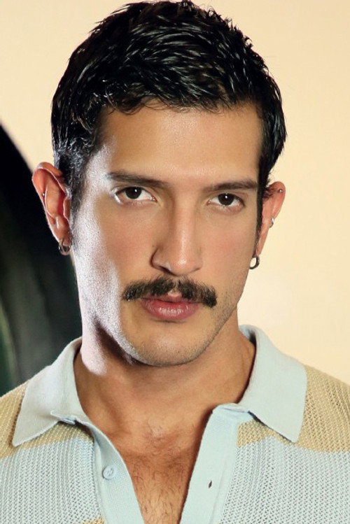 Photo of Sir Armas, Acting