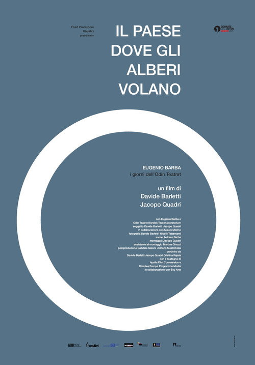 Movie poster for Il paese dove gli alberi volano (2016)