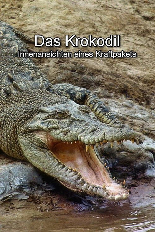 Movie poster for Das Krokodil - Innenansichten eines Kraftpakets (2017)