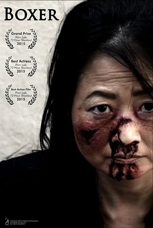 Movie poster for Boxer (2015)