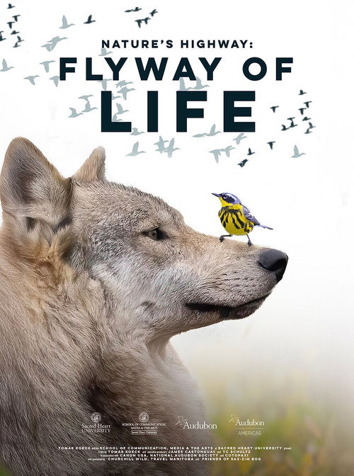 Movie poster for Flyway of Life (2025)