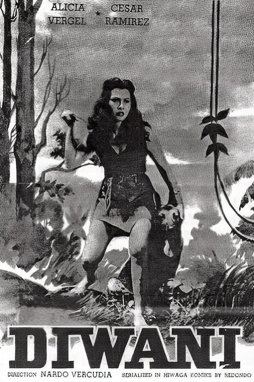 Movie poster for Diwani (1953)