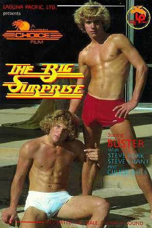 Movie poster for The Big Surprise (1983)