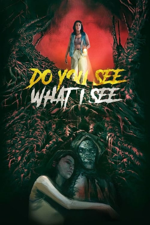 Movie poster for Do You See What I See (2024)