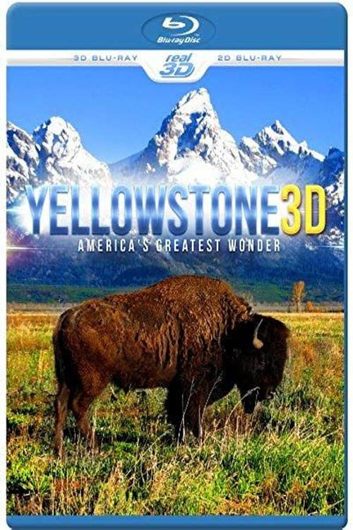 Movie poster for Yellowstone 3D: America's Greatest Wonder (2014)