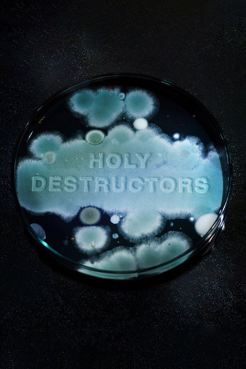 Movie poster for Holy Destructors (2026)