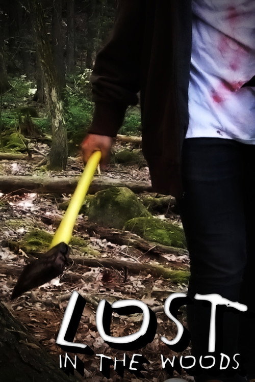 Movie poster for Lost In The Woods (2022)