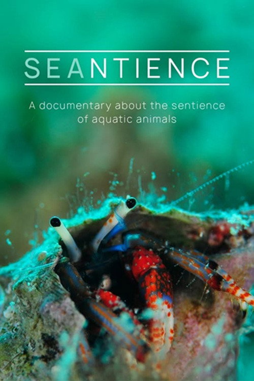 Movie poster for Seantience (2025)