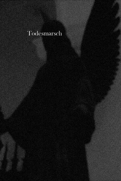 Movie poster for Todesmarsch (2020)