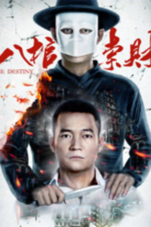 Movie poster for The Destiny (2016)