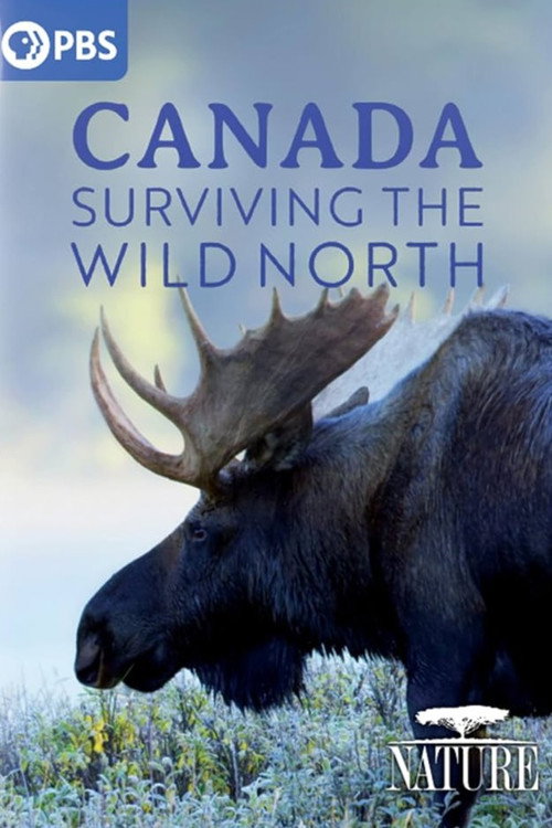 Movie poster for Canada: Surviving the Wild North (2022)