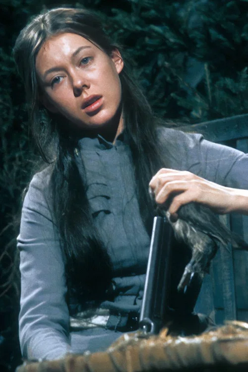 Movie poster for The Wild Duck (1971)