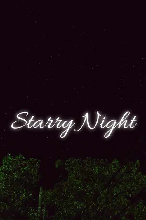 Movie poster for Starry Night (2013)
