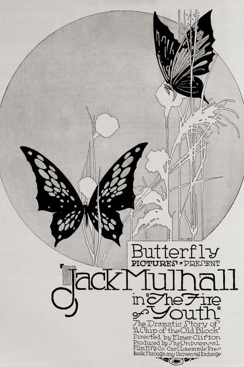 Movie poster for The Flame of Youth (1917)