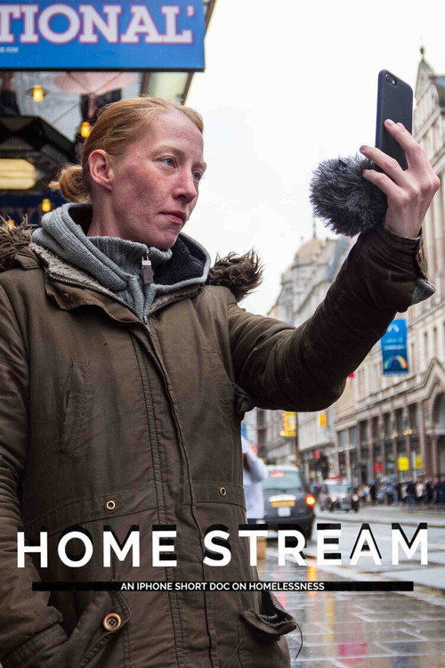 Movie poster for Home Stream (2019)