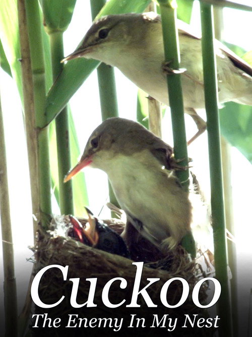 Movie poster for Cuckoo: The Enemy In My Nest (2017)
