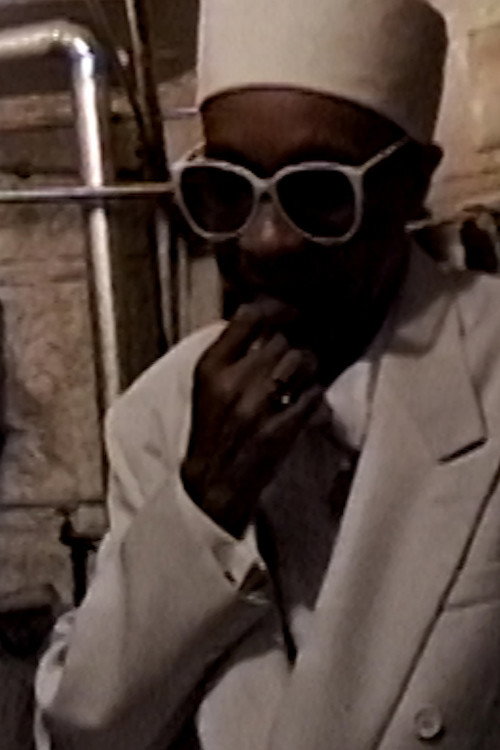 Movie poster for The Vanguard Tapes (2024)