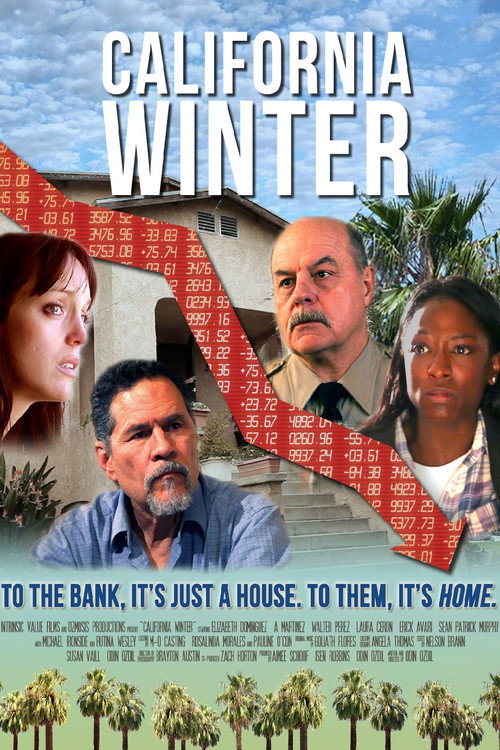 Movie poster for California Winter (2015)