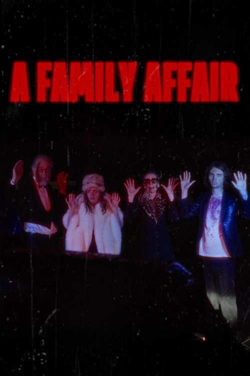 Movie poster for A Family Affair (2025)