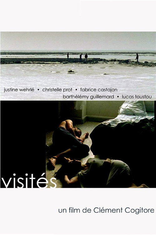 Movie poster for Visités (2007)