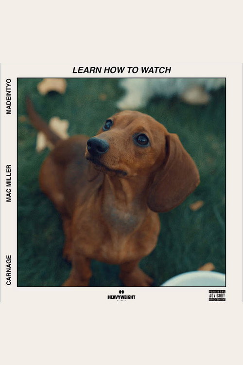 Movie poster for Learn How to Watch (2018)