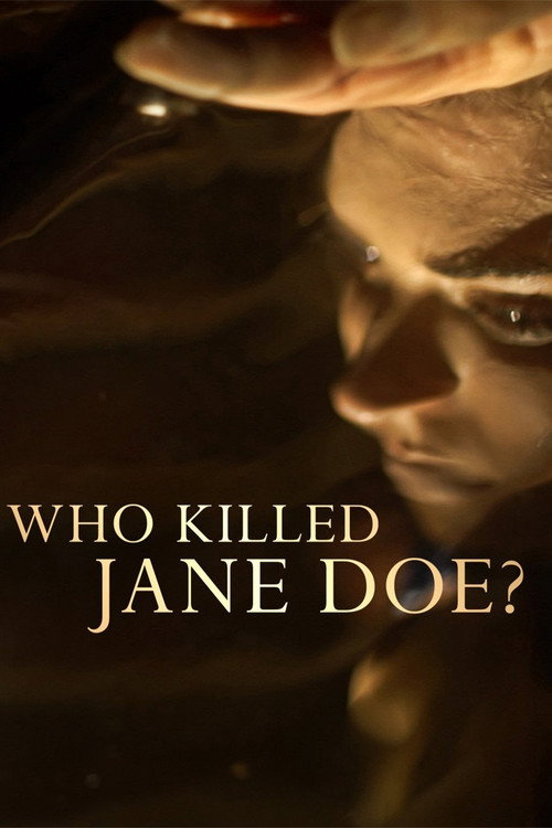 Series poster for Who Killed Jane Doe? (2017)