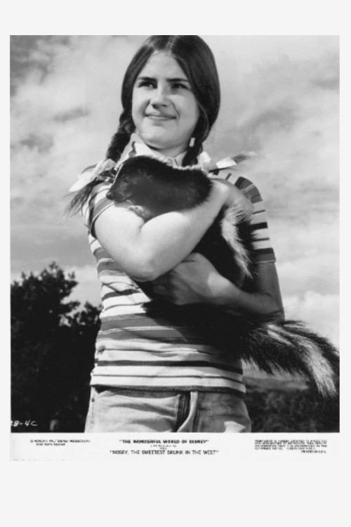 Movie poster for Nosey, the Sweetest Skunk in the West (1972)