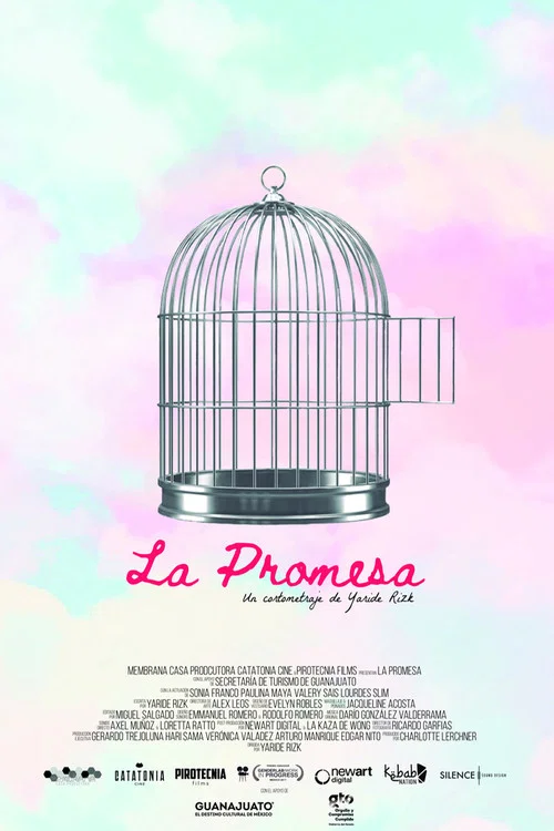 Movie poster for The Promise (2020)