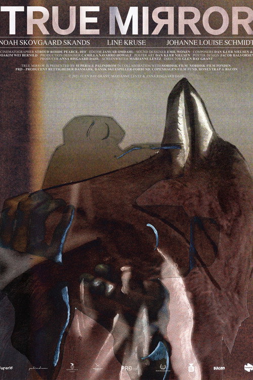 Movie poster for True Mirror (2021)