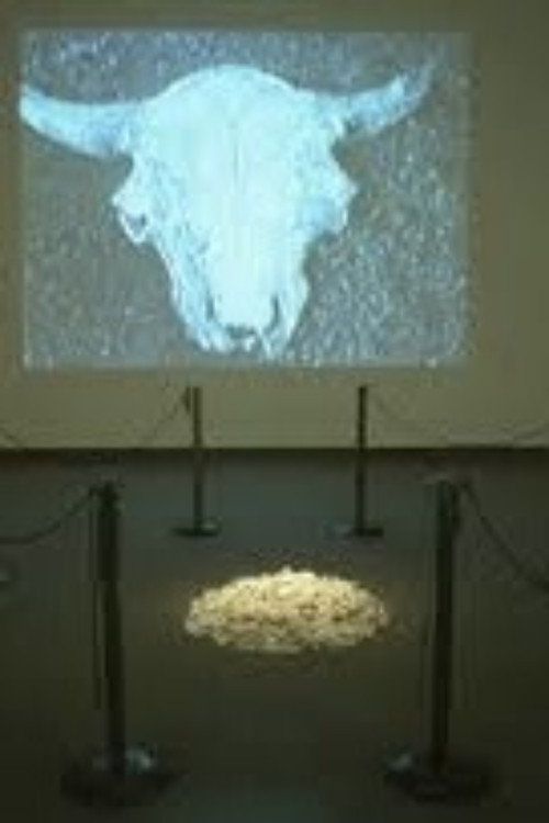 Movie poster for Buffalo Bone China (1997)