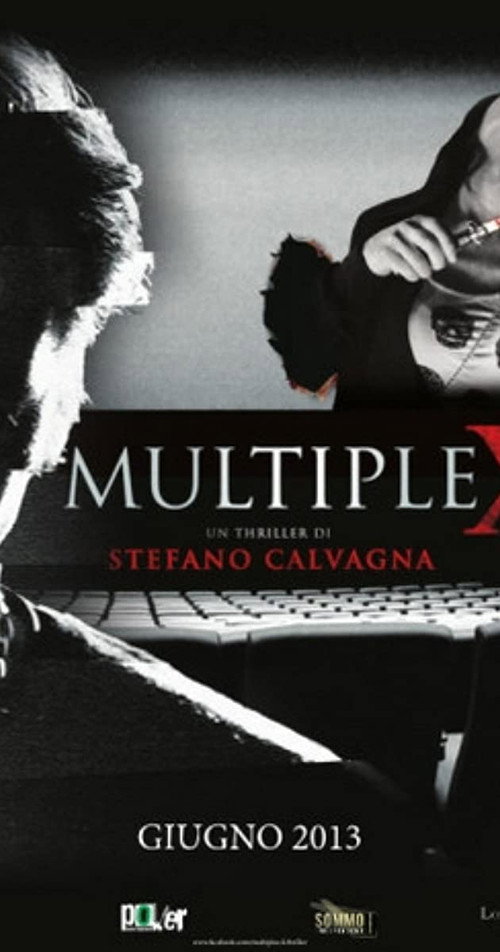 Movie poster for MultipleX (2013)
