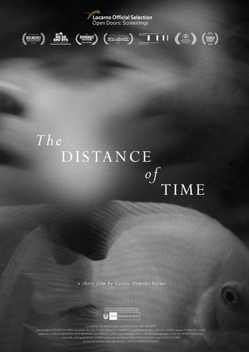 Movie poster for The Distance of Time (2021)