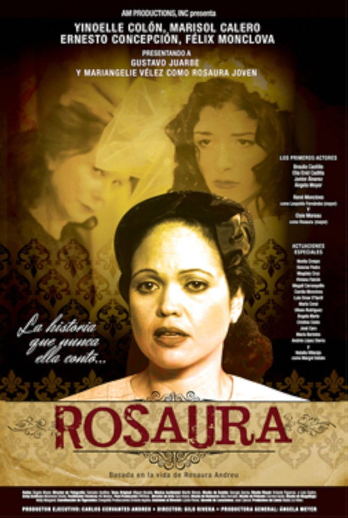 Movie poster for Rosaura (2014)