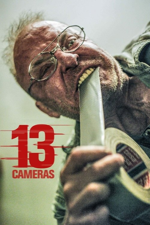 Movie poster for 13 Cameras (2016)